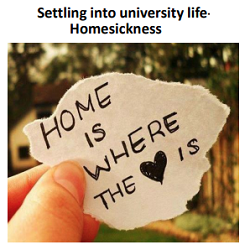Settling Into University Life - Homesickness